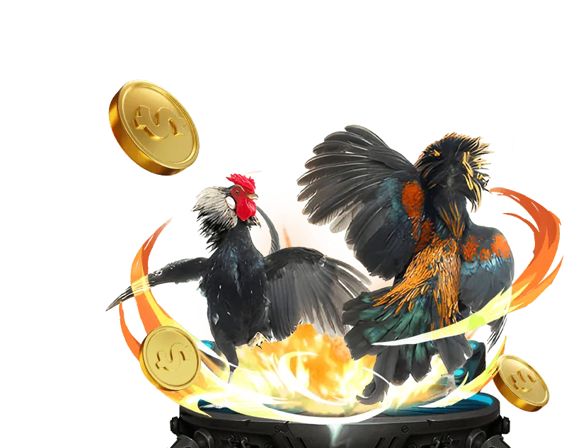 Giấy phép hoạt động hợp pháp của nền tảng B52